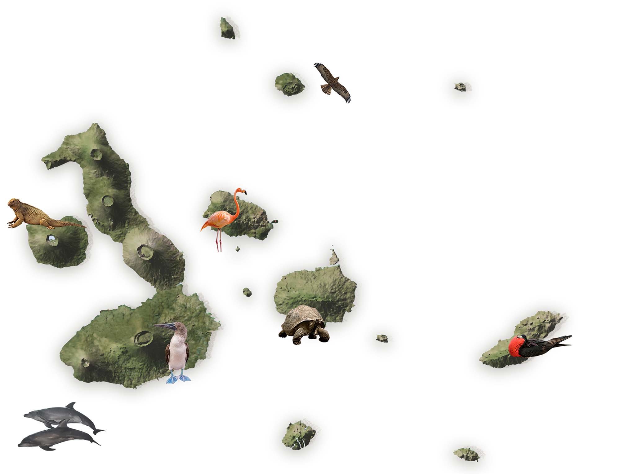 Elite Galapagos Map