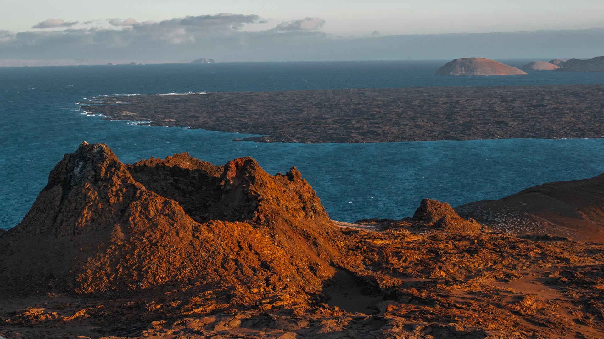 imgi_20_Galapagos-Flora-and-Fauna-Endemic-4_desktop