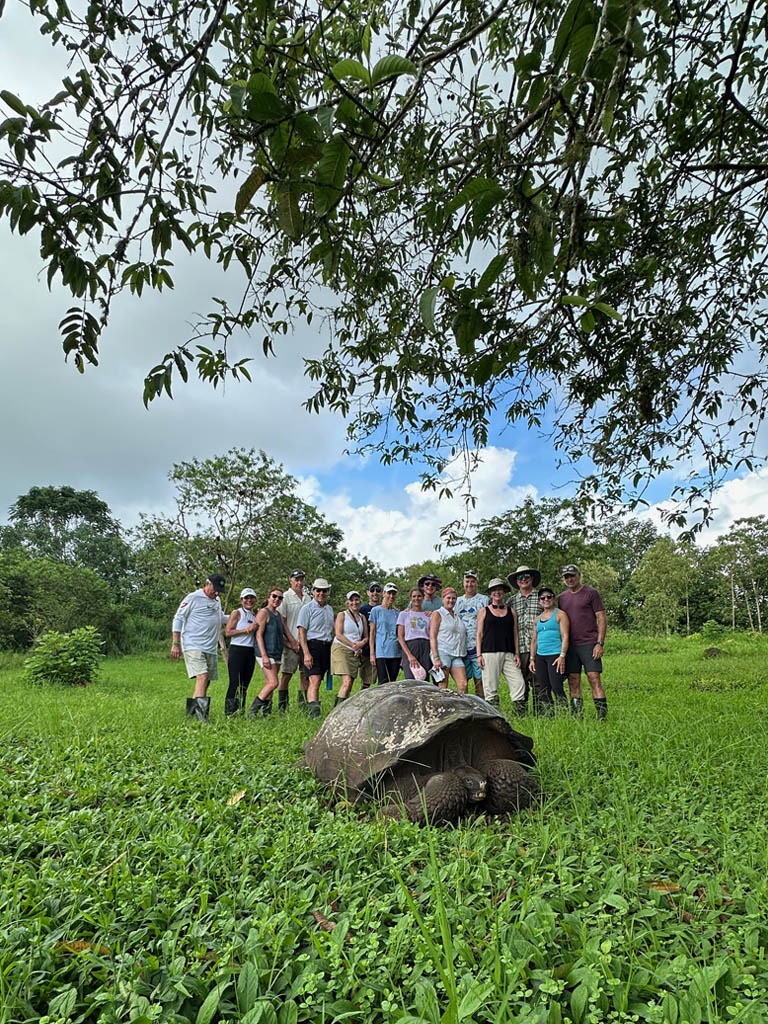 BLACK TURTLE COVE
