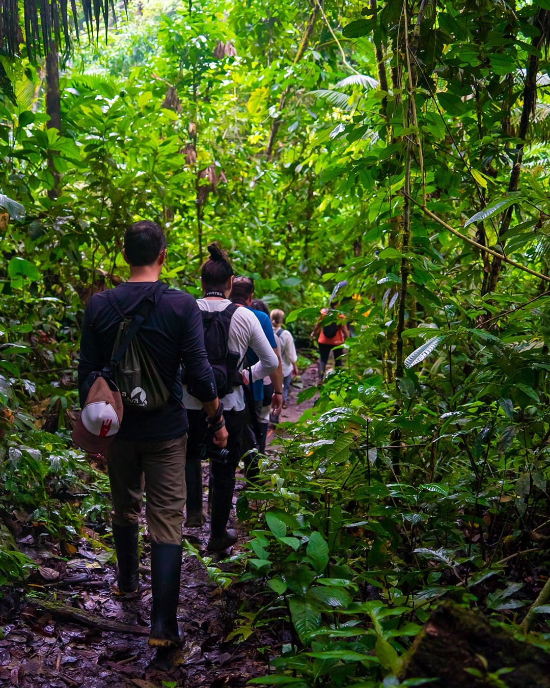 Guided jungle trails