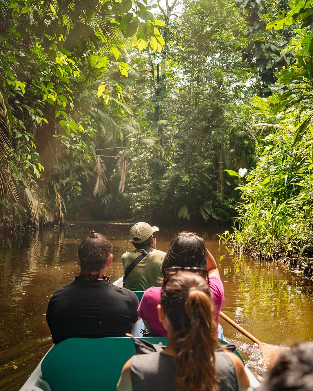 Canoe excursions